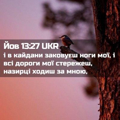 Picture 02 - Йов 13:27 UKR - і в кайдани заковуєш ноги - Bible Verse Picture