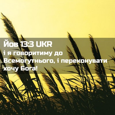 Picture 02 - Йов 13:3 UKR - і я говоритиму до - Bible Verse Picture