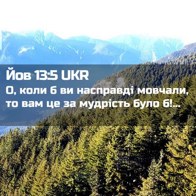 Picture 02 - Йов 13:5 UKR - О, коли б ви насправді - Bible Verse Picture