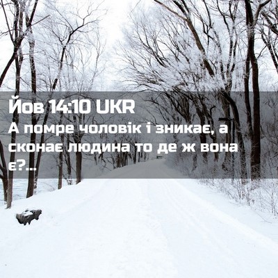 Picture 02 - Йов 14:10 UKR - А помре чоловік і зникає, а - Bible Verse Picture