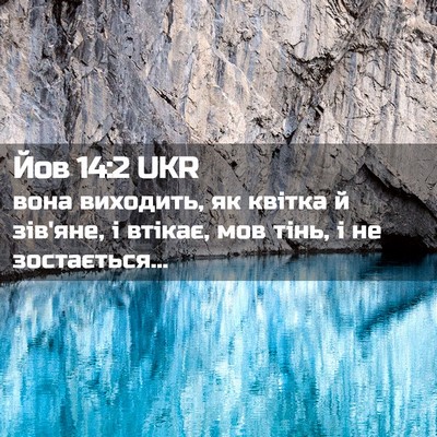 Picture 02 - Йов 14:2 UKR - вона виходить, як квітка й - Bible Verse Picture