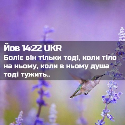 Picture 02 - Йов 14:22 UKR - Боліє він тільки тоді, коли - Bible Verse Picture