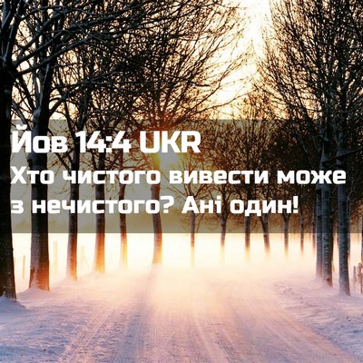 Picture 02 - Йов 14:4 UKR - Хто чистого вивести може з - Bible Verse Picture