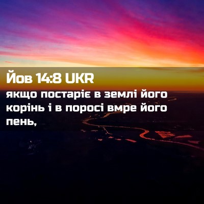 Picture 02 - Йов 14:8 UKR - якщо постаріє в землі його - Bible Verse Picture