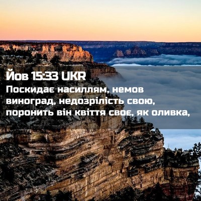 Picture 02 - Йов 15:33 UKR - Поскидає насиллям, немов - Bible Verse Picture