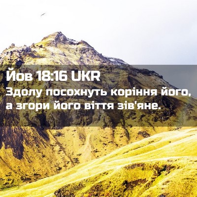 Picture 02 - Йов 18:16 UKR - Здолу посохнуть коріння - Bible Verse Picture