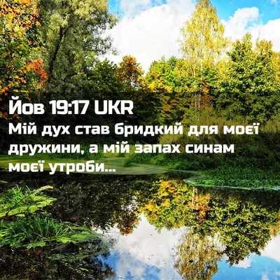 Picture 02 - Йов 19:17 UKR - Мій дух став бридкий для - Bible Verse Picture
