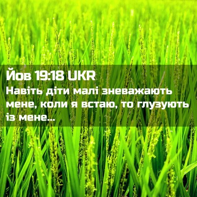 Picture 02 - Йов 19:18 UKR - Навіть діти малі - Bible Verse Picture
