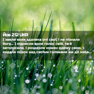 Picture 02 - Йов 2:12 UKR - І звели вони здалека очі - Bible Verse Picture