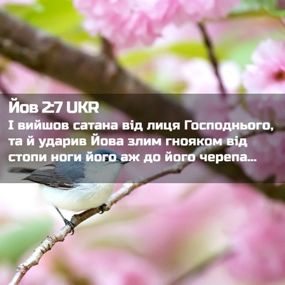 Picture 02 - Йов 2:7 UKR - І вийшов сатана від лиця - Bible Verse Picture