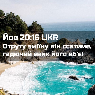 Picture 02 - Йов 20:16 UKR - Отруту зміїну він ссатиме, - Bible Verse Picture