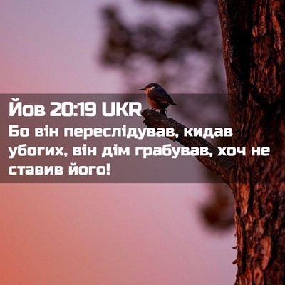 Picture 02 - Йов 20:19 UKR - Бо він переслідував, кидав - Bible Verse Picture