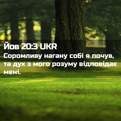 Picture 02 - Йов 20:3 UKR - Соромливу нагану собі я - Bible Verse Picture