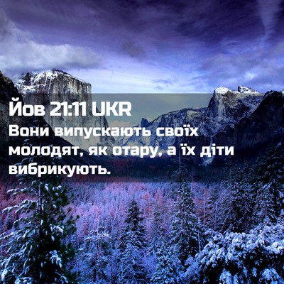 Picture 02 - Йов 21:11 UKR - Вони випускають своїх - Bible Verse Picture