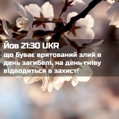 Picture 02 - Йов 21:30 UKR - що буває врятований злий в - Bible Verse Picture