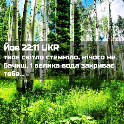 Picture 02 - Йов 22:11 UKR - твоє світло стемніло, - Bible Verse Picture