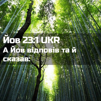 Picture 02 - Йов 23:1 UKR - А Йов відповів та й - Bible Verse Picture