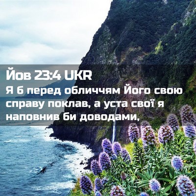 Picture 02 - Йов 23:4 UKR - Я б перед обличчям Його - Bible Verse Picture