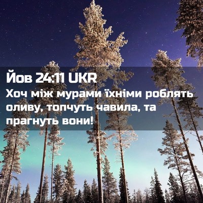 Picture 02 - Йов 24:11 UKR - Хоч між мурами їхніми - Bible Verse Picture
