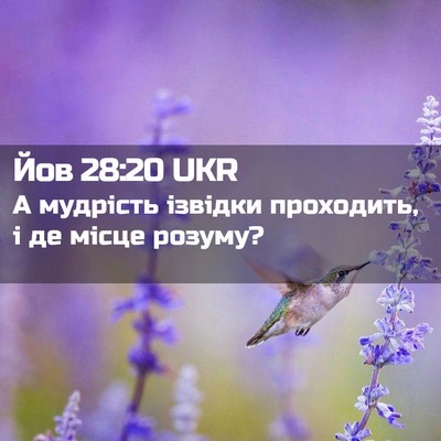 Picture 02 - Йов 28:20 UKR - А мудрість ізвідки - Bible Verse Picture