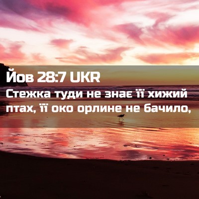 Picture 02 - Йов 28:7 UKR - Стежка туди не знає її - Bible Verse Picture