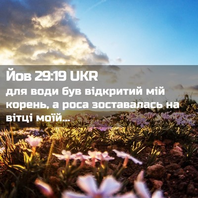 Picture 02 - Йов 29:19 UKR - для води був відкритий мій - Bible Verse Picture