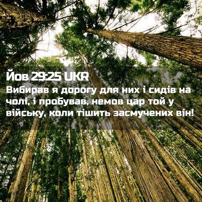 Picture 02 - Йов 29:25 UKR - Вибирав я дорогу для них і - Bible Verse Picture