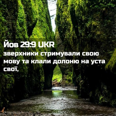 Picture 02 - Йов 29:9 UKR - зверхники стримували свою - Bible Verse Picture