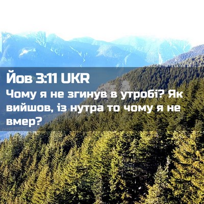 Picture 02 - Йов 3:11 UKR - Чому я не згинув в утробі? - Bible Verse Picture