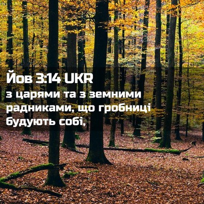 Picture 02 - Йов 3:14 UKR - з царями та з земними - Bible Verse Picture