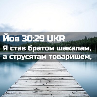 Picture 02 - Йов 30:29 UKR - Я став братом шакалам, а - Bible Verse Picture