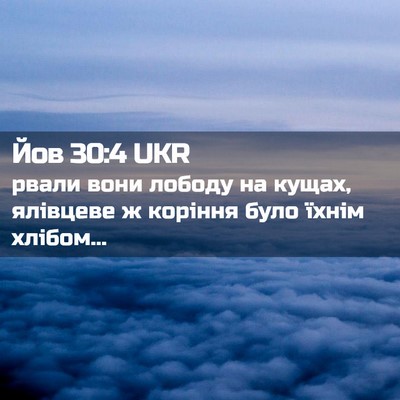 Picture 02 - Йов 30:4 UKR - рвали вони лободу на кущах, - Bible Verse Picture
