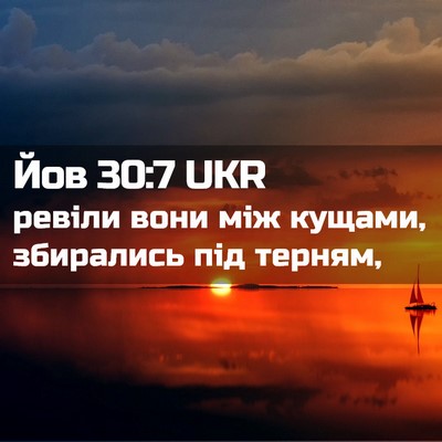 Picture 02 - Йов 30:7 UKR - ревіли вони між кущами, - Bible Verse Picture