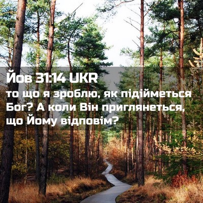 Picture 02 - Йов 31:14 UKR - то що я зроблю, як - Bible Verse Picture
