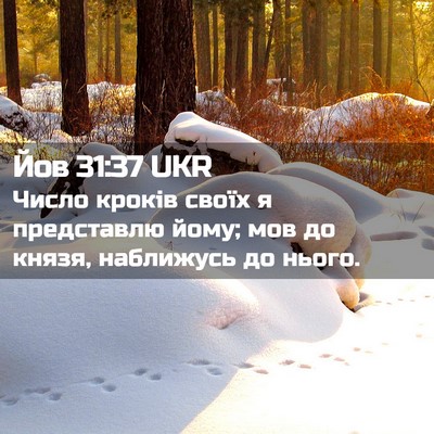 Picture 02 - Йов 31:37 UKR - Число кроків своїх я - Bible Verse Picture