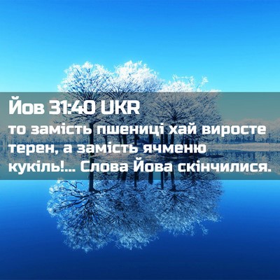 Picture 02 - Йов 31:40 UKR - то замість пшениці хай - Bible Verse Picture