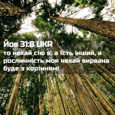 Picture 02 - Йов 31:8 UKR - то нехай сію я, а їсть - Bible Verse Picture