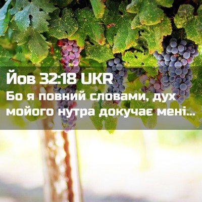 Picture 02 - Йов 32:18 UKR - Бо я повний словами, дух - Bible Verse Picture