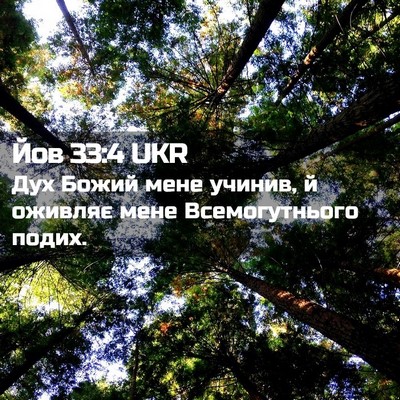 Picture 02 - Йов 33:4 UKR - Дух Божий мене учинив, й - Bible Verse Picture