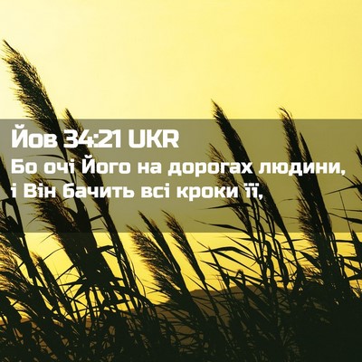 Picture 02 - Йов 34:21 UKR - Бо очі Його на дорогах - Bible Verse Picture