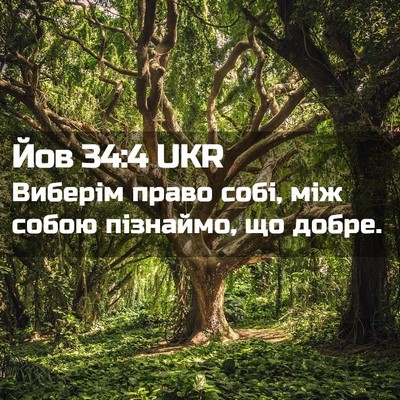 Picture 02 - Йов 34:4 UKR - Виберім право собі, між - Bible Verse Picture