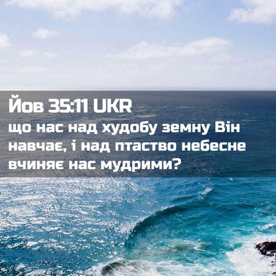 Picture 02 - Йов 35:11 UKR - що нас над худобу земну Він - Bible Verse Picture