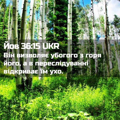 Picture 02 - Йов 36:15 UKR - Він визволяє убогого з - Bible Verse Picture