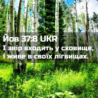 Picture 02 - Йов 37:8 UKR - І звір входить у сховище, і - Bible Verse Picture