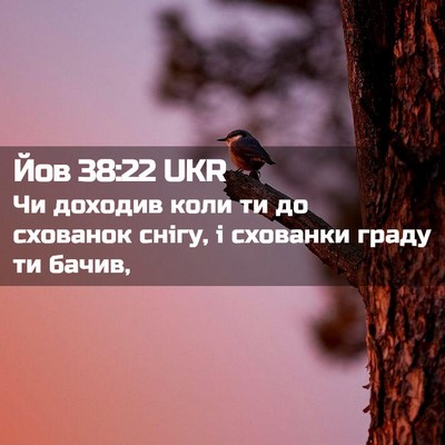 Picture 02 - Йов 38:22 UKR - Чи доходив коли ти до - Bible Verse Picture