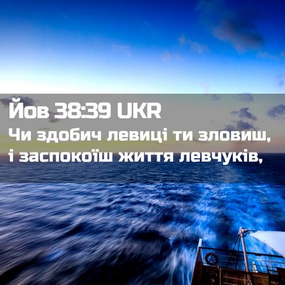 Picture 02 - Йов 38:39 UKR - Чи здобич левиці ти зловиш, - Bible Verse Picture