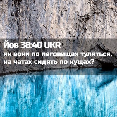 Picture 02 - Йов 38:40 UKR - як вони по леговищах - Bible Verse Picture
