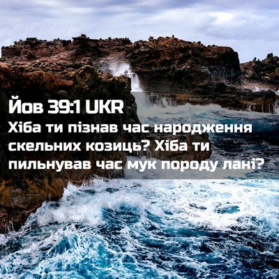 Picture 02 - Йов 39:1 UKR - Хіба ти пізнав час - Bible Verse Picture