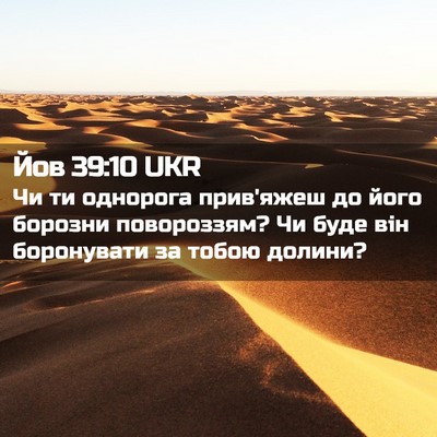 Picture 02 - Йов 39:10 UKR - Чи ти однорога прив'яжеш до - Bible Verse Picture
