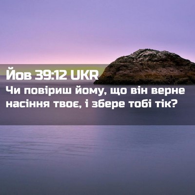 Picture 02 - Йов 39:12 UKR - Чи повіриш йому, що він - Bible Verse Picture